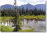 Alaska by Daylight Tour