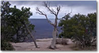 Click here for more information about the Canyon Railway Express Package